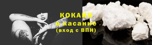 ПСИЛОЦИБИНОВЫЕ ГРИБЫ Армянск
