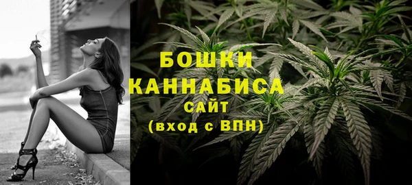 apvp Аркадак