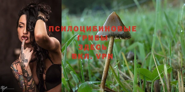 шишки Алексеевка