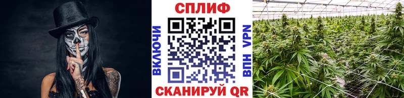 Канабис AK-47  Кологрив 